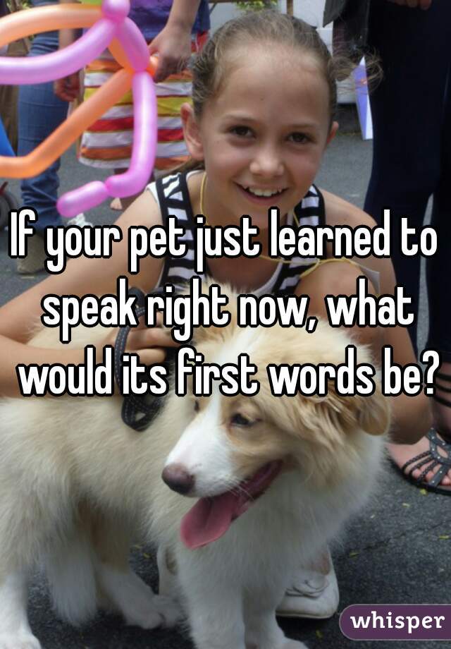If your pet just learned to speak right now, what would its first words be?