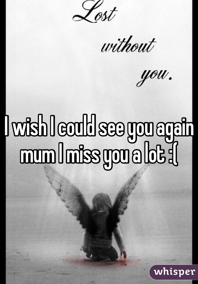 I wish I could see you again mum I miss you a lot :( 