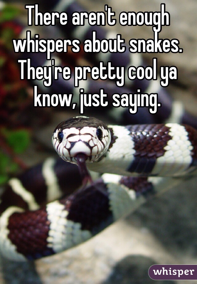 There aren't enough whispers about snakes. They're pretty cool ya know, just saying. 