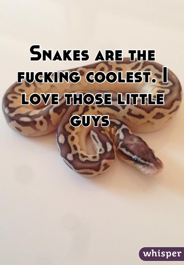 Snakes are the fucking coolest. I love those little guys 