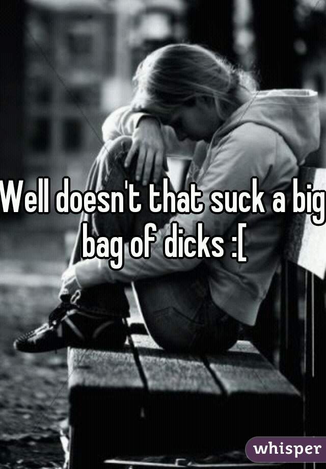 Well doesn't that suck a big bag of dicks :[