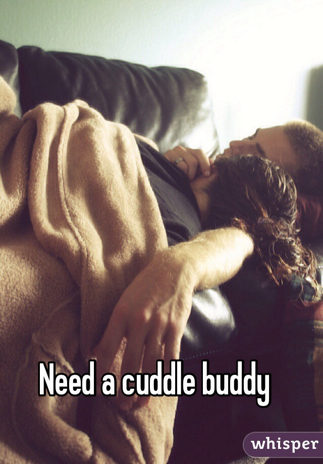 Need a cuddle buddy 