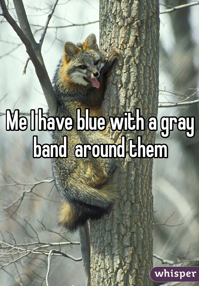 Me I have blue with a gray band  around them