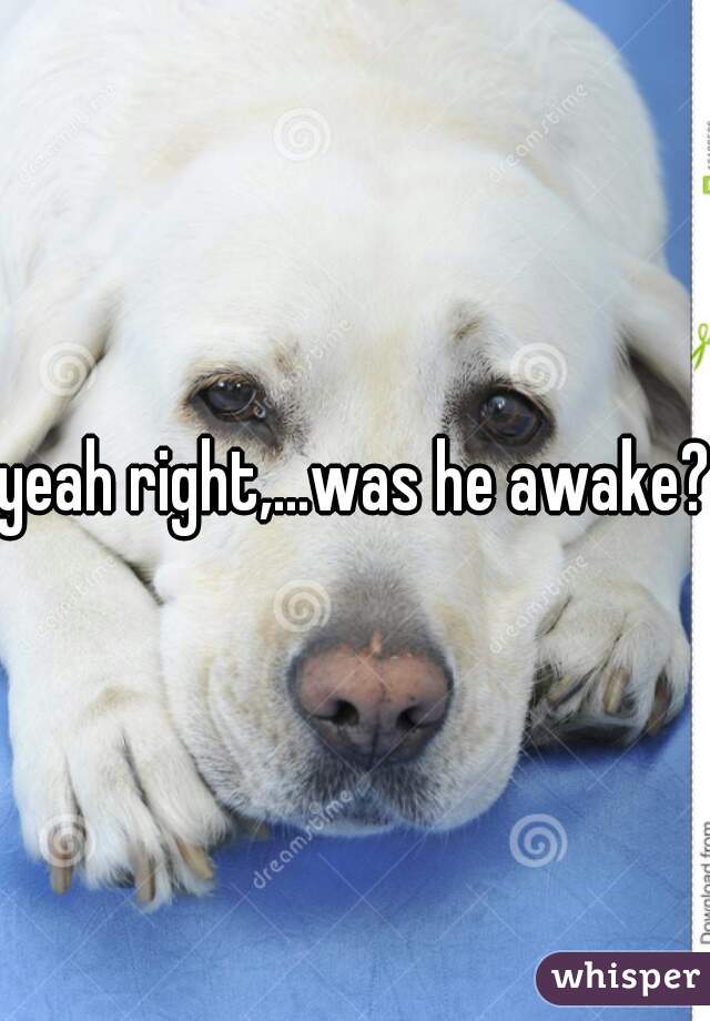 yeah right,...was he awake? 