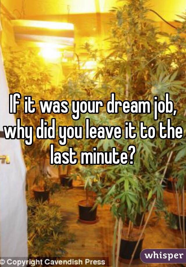 If it was your dream job, why did you leave it to the last minute?