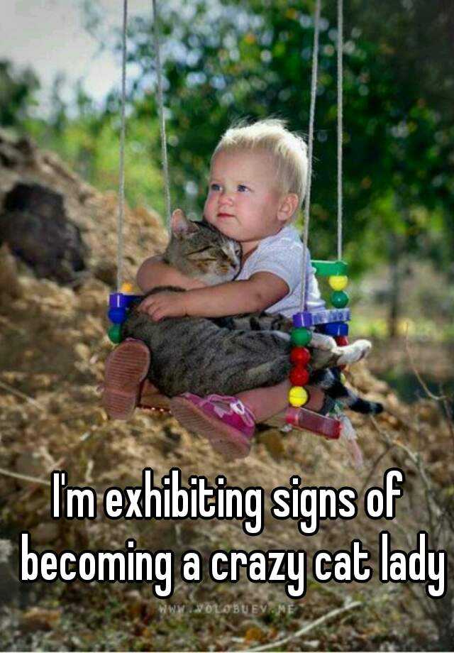 i-m-exhibiting-signs-of-becoming-a-crazy-cat-lady