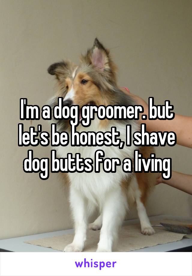 I'm a dog groomer. but let's be honest, I shave dog butts for a living