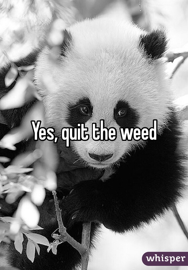Yes, quit the weed