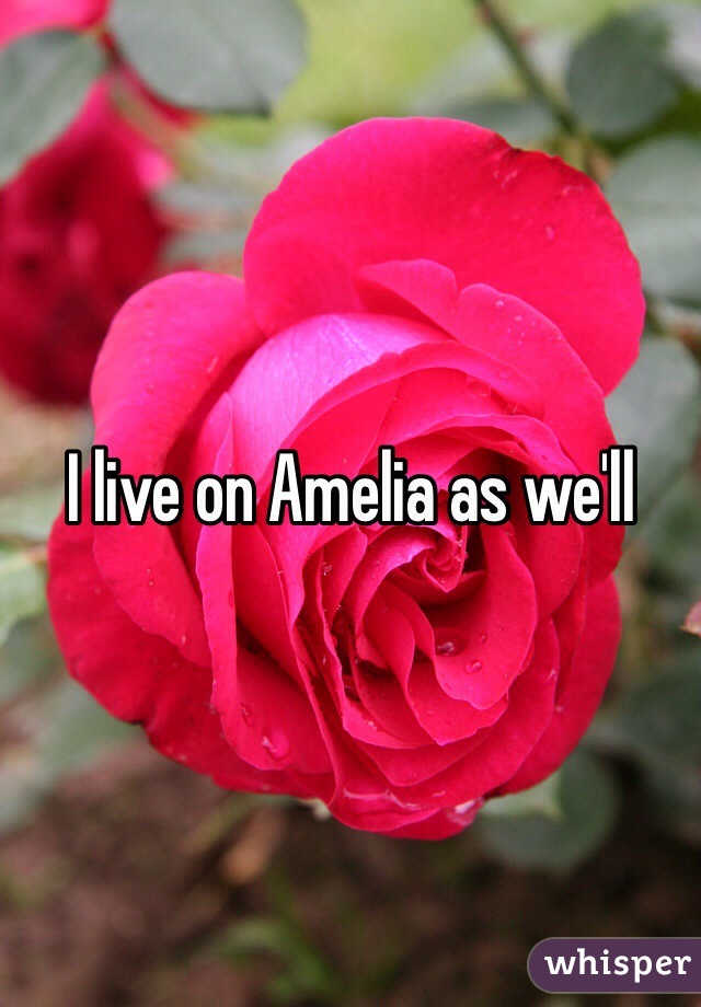 I live on Amelia as we'll