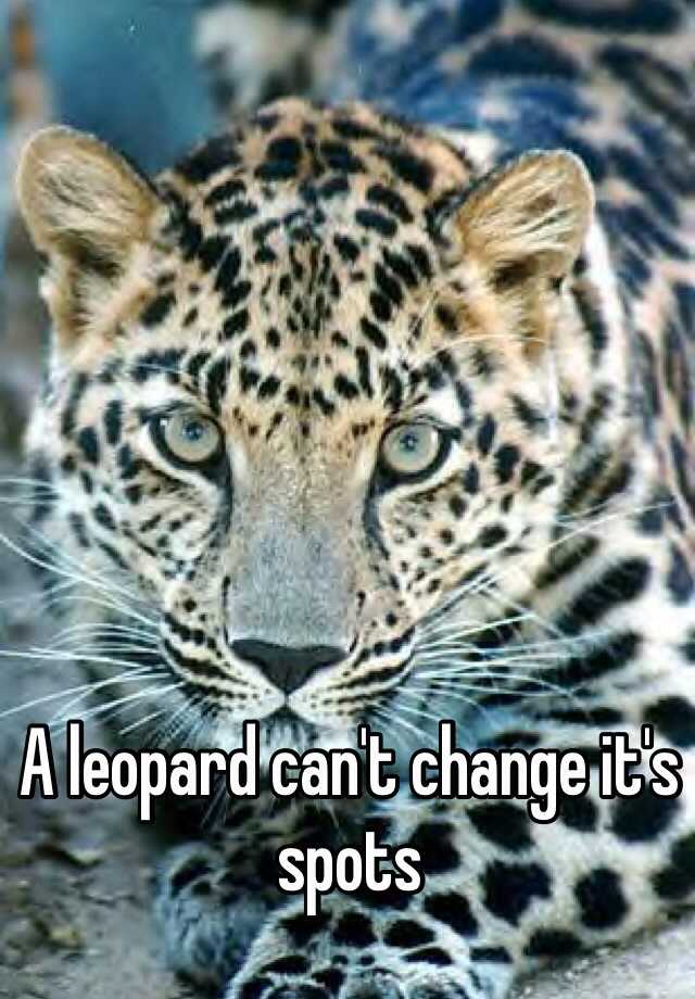 essay on a leopard cannot change its spots