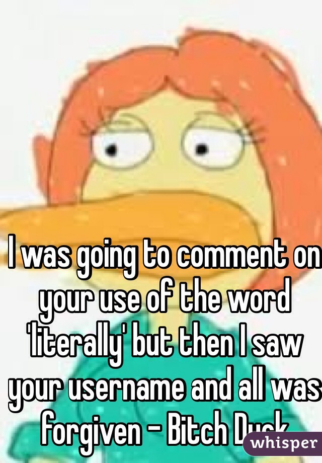 I was going to comment on your use of the word 'literally' but then I saw your username and all was forgiven - Bitch Duck