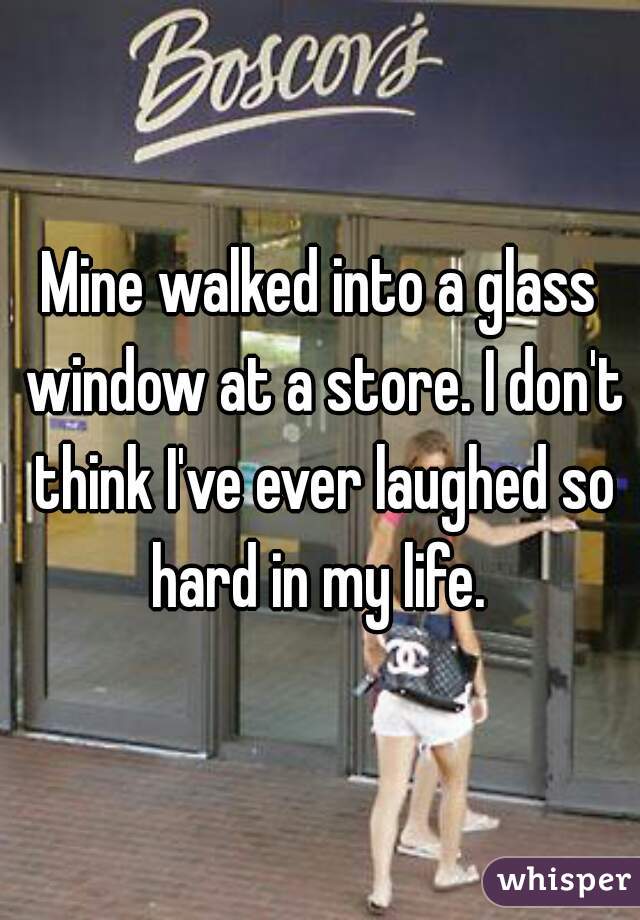 Mine walked into a glass window at a store. I don't think I've ever laughed so hard in my life. 
