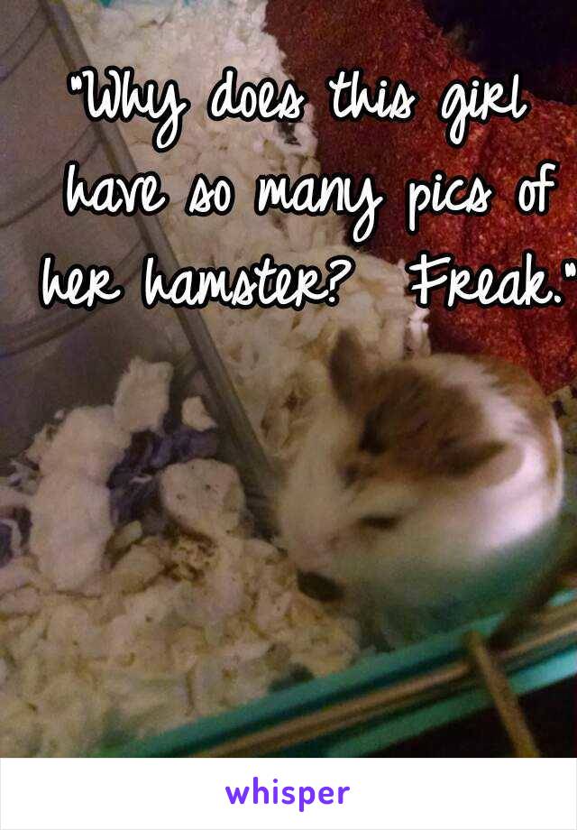 "Why does this girl have so many pics of her hamster?  Freak."