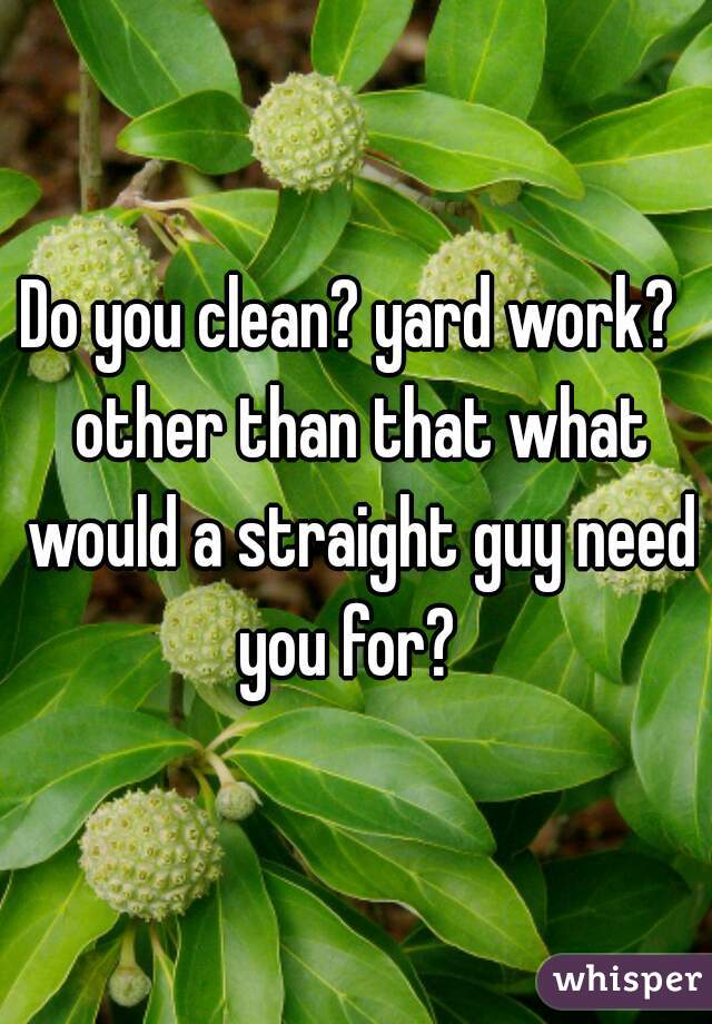 Do you clean? yard work?  other than that what would a straight guy need you for?  