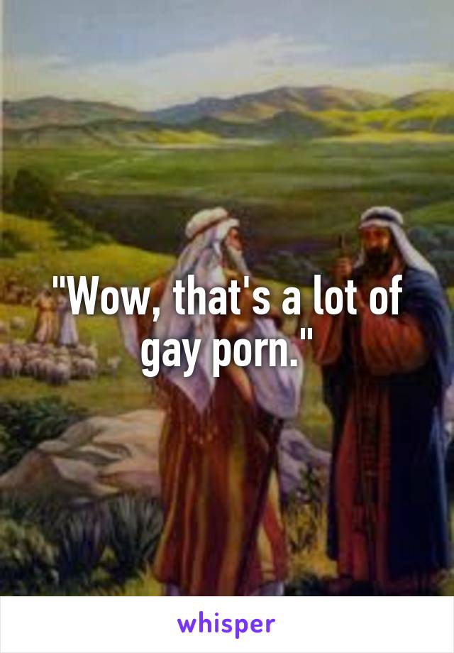 "Wow, that's a lot of gay porn."