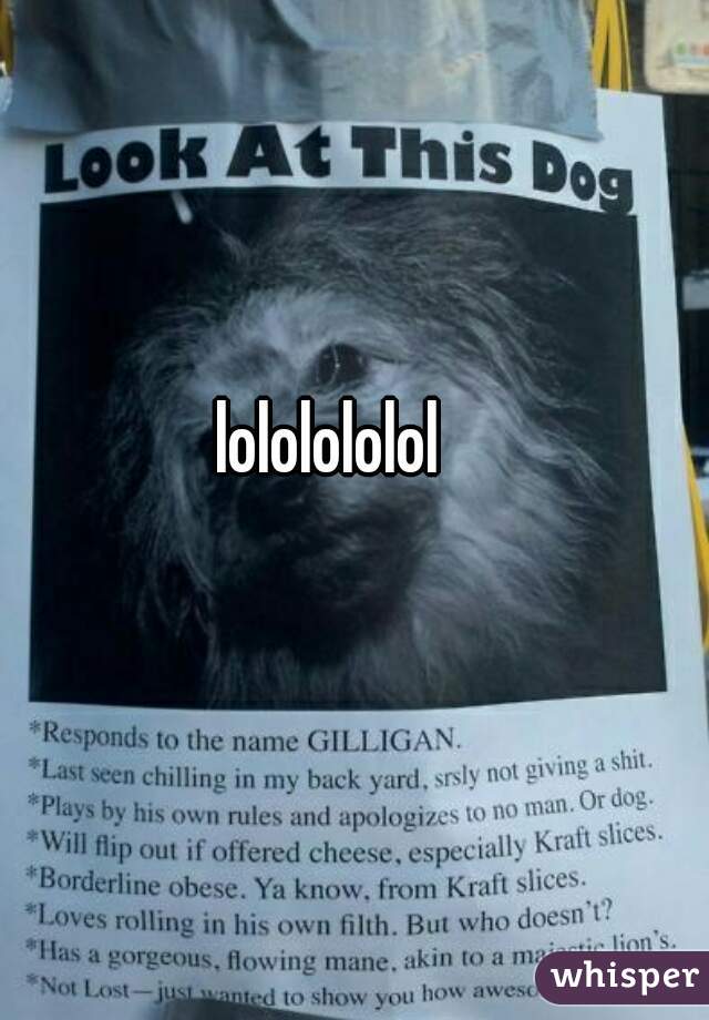 lololololol