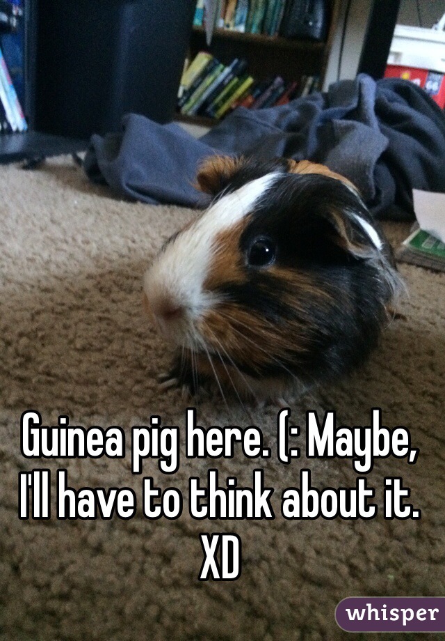 Guinea pig here. (: Maybe, I'll have to think about it. XD