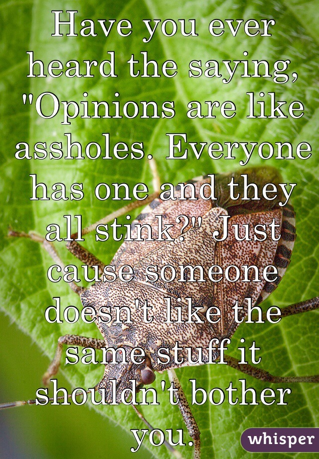 Have you ever heard the saying, "Opinions are like assholes. Everyone has one and they all stink?" Just cause someone doesn't like the same stuff it shouldn't bother you. 