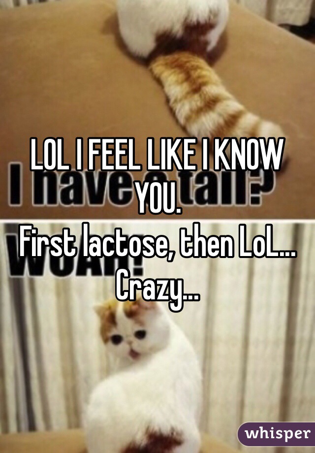 LOL I FEEL LIKE I KNOW YOU.
First lactose, then LoL...
Crazy...