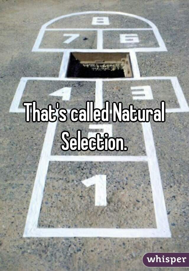 That's called Natural Selection. 