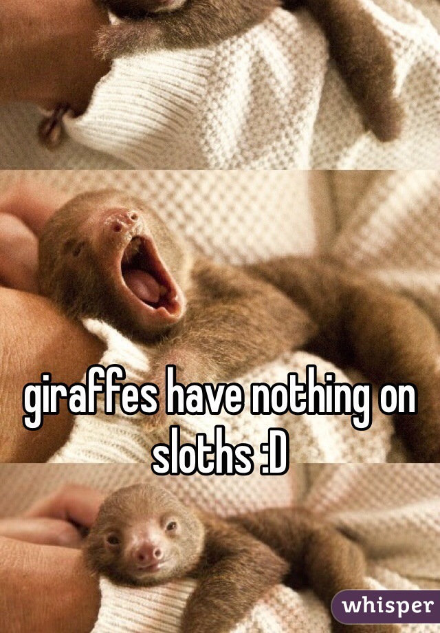 giraffes have nothing on sloths :D