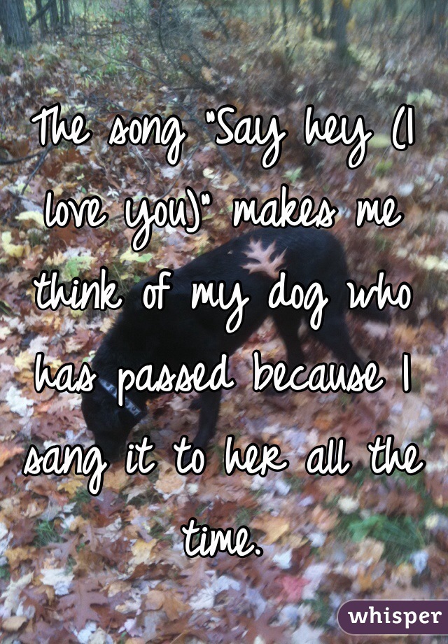 The song "Say hey (I love you)" makes me think of my dog who has passed because I sang it to her all the time.