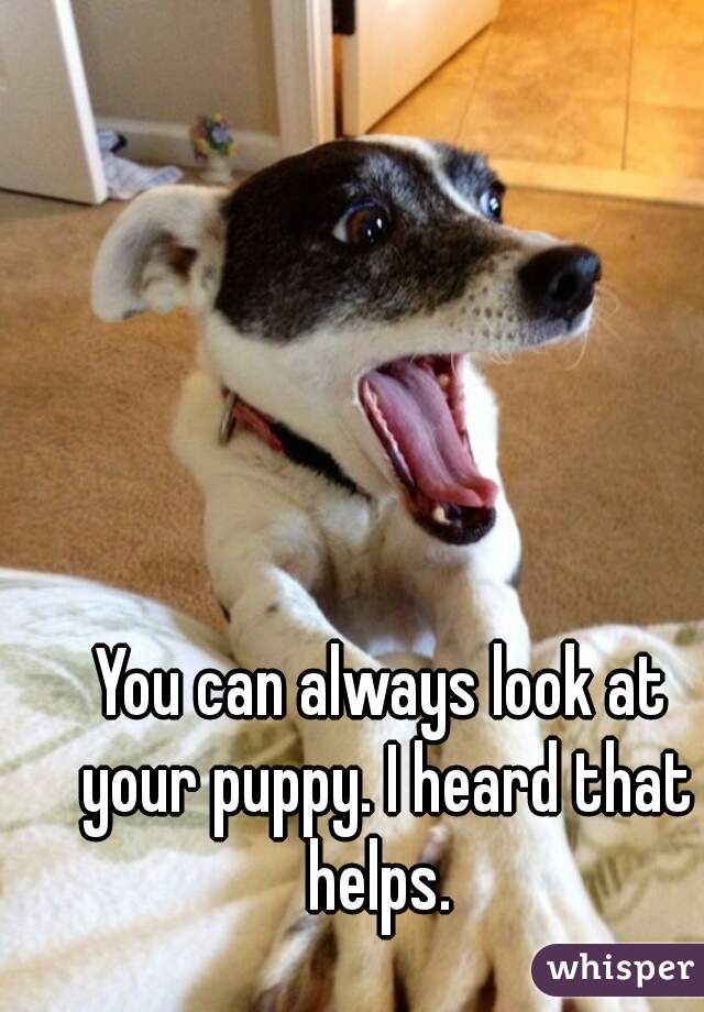 You can always look at your puppy. I heard that helps. 