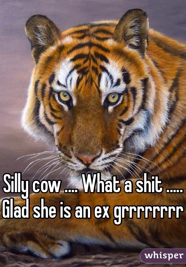 Silly cow .... What a shit ..... Glad she is an ex grrrrrrrr