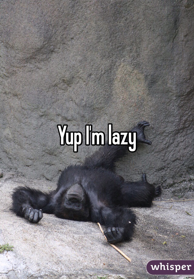 Yup I'm lazy 