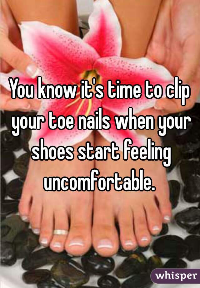 You know it's time to clip your toe nails when your shoes start feeling uncomfortable. 