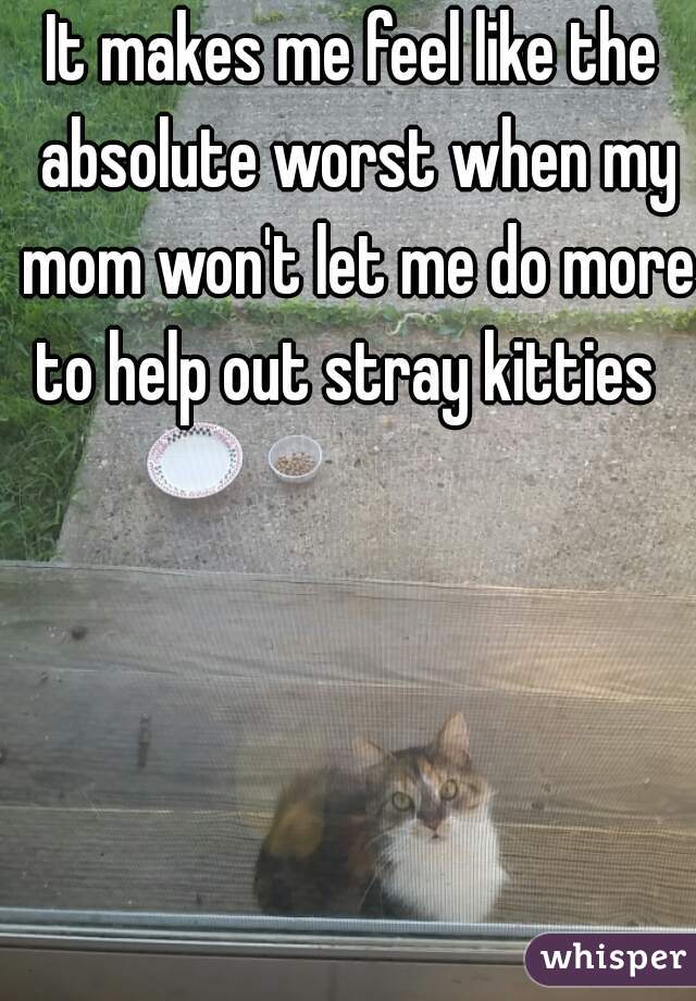 It makes me feel like the absolute worst when my mom won't let me do more to help out stray kitties  