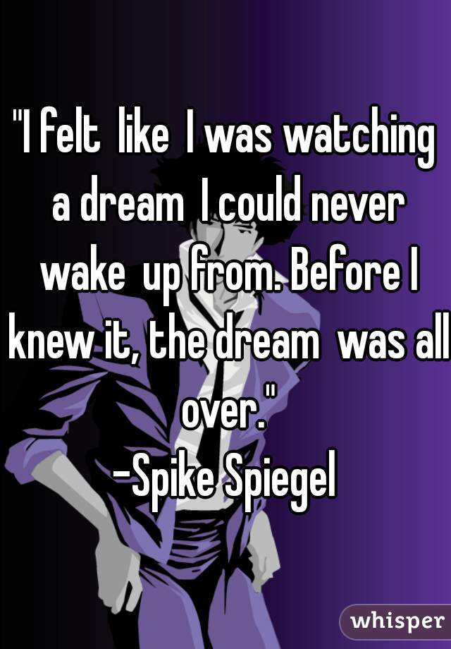"I felt like I was watching a dream I could never wake up from. Before I knew it, the dream was all over."
-Spike Spiegel