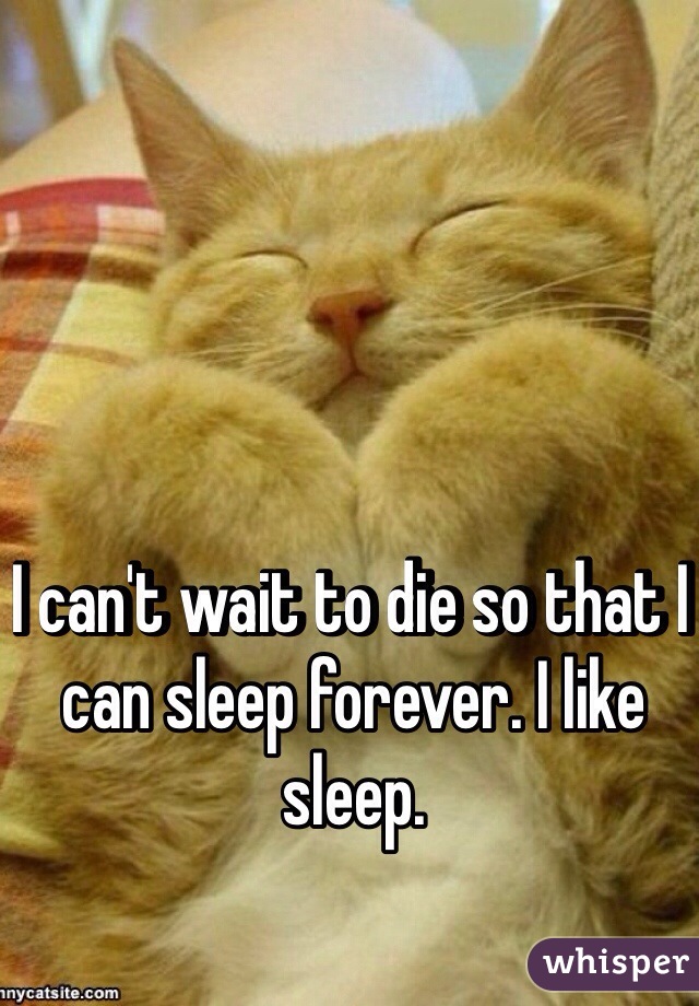 I can't wait to die so that I can sleep forever. I like sleep.