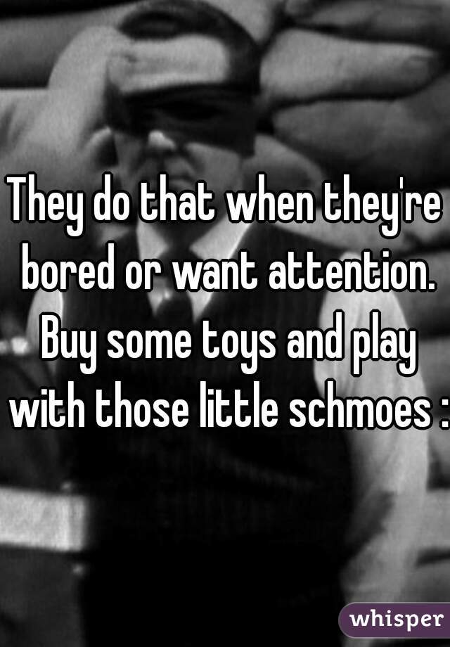 They do that when they're bored or want attention. Buy some toys and play with those little schmoes :)