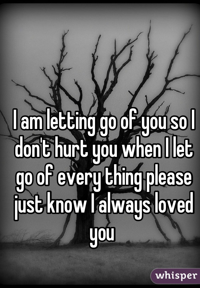 I am letting go of you so I don't hurt you when I let go of every thing please just know I always loved you 