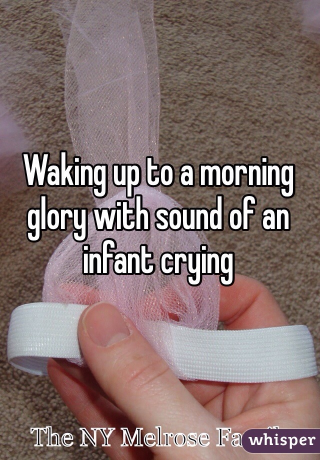 Waking up to a morning glory with sound of an infant crying