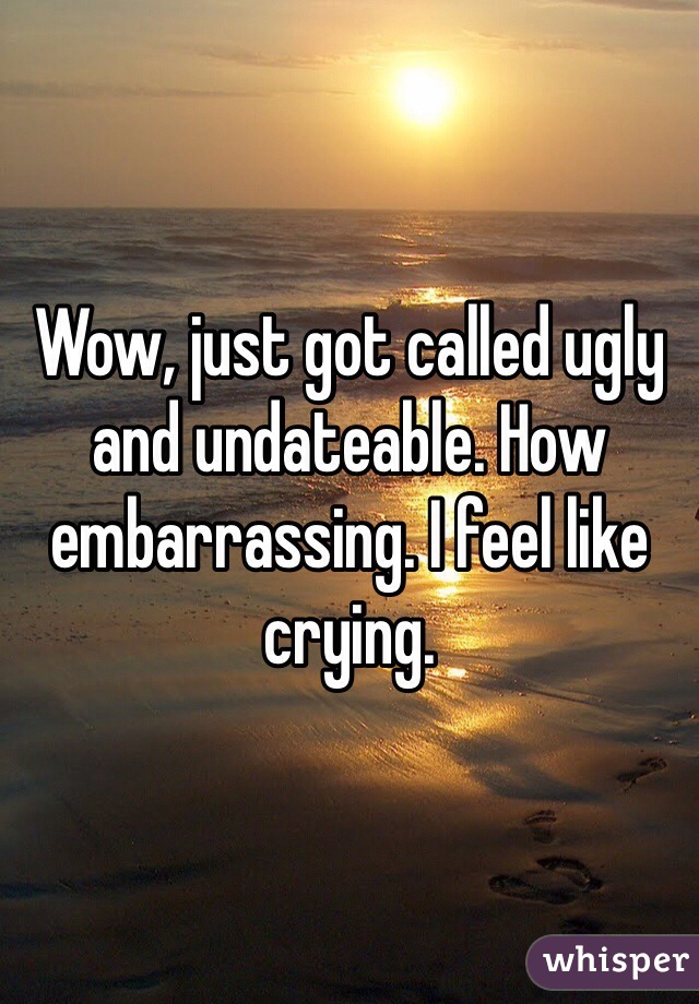 Wow, just got called ugly and undateable. How embarrassing. I feel like crying.