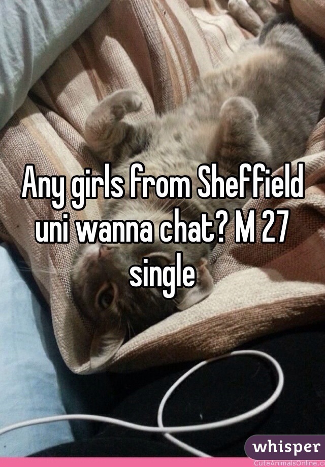 Any girls from Sheffield uni wanna chat? M 27 single