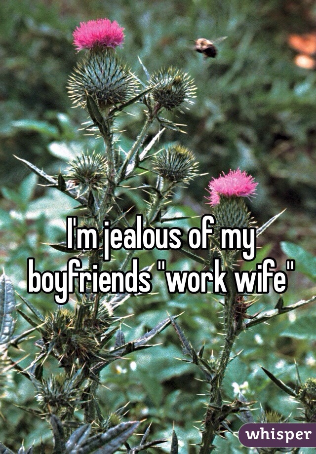 I'm jealous of my boyfriends "work wife"