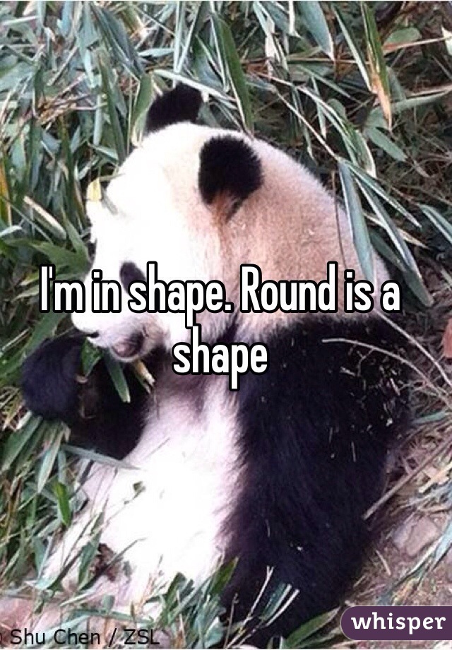 I'm in shape. Round is a shape