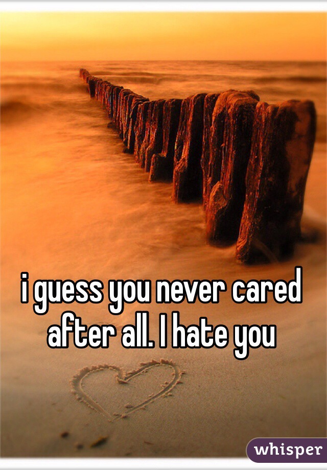 i guess you never cared after all. I hate you