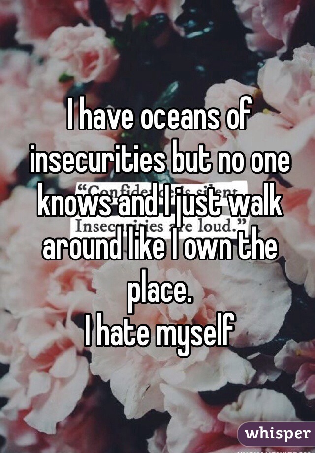 I have oceans of insecurities but no one knows and I just walk around like I own the place. 
I hate myself     