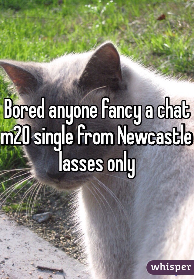 Bored anyone fancy a chat m20 single from Newcastle lasses only 