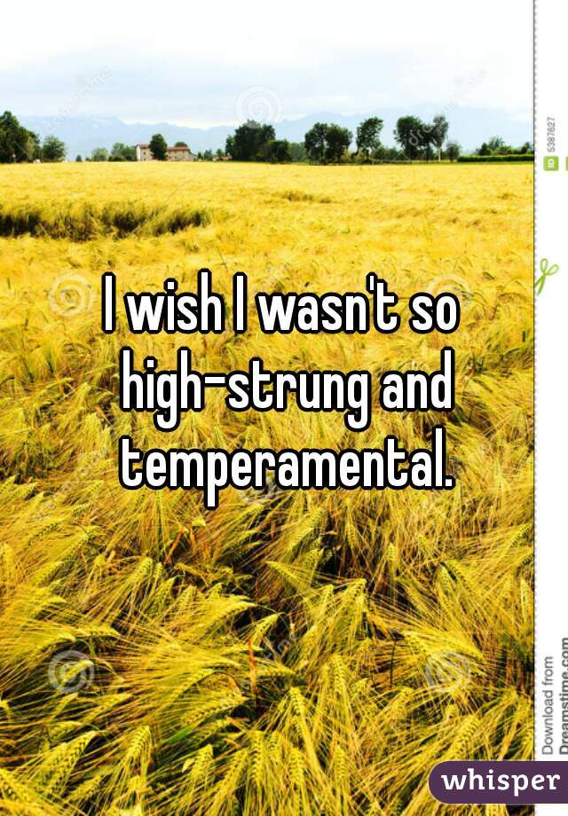 I wish I wasn't so high-strung and temperamental.