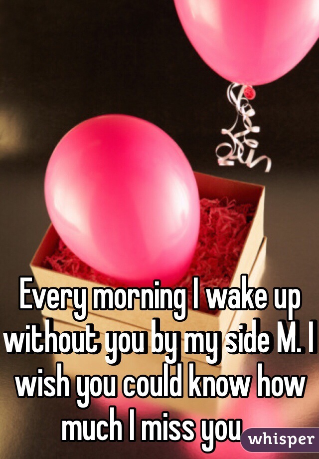 Every morning I wake up without you by my side M. I wish you could know how much I miss you .. 