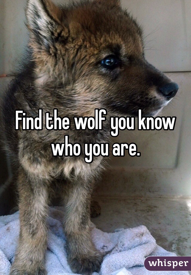 Find the wolf you know who you are.