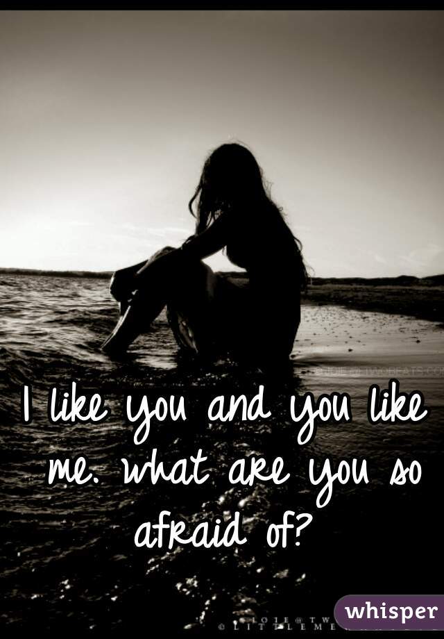 I like you and you like me. what are you so afraid of? 