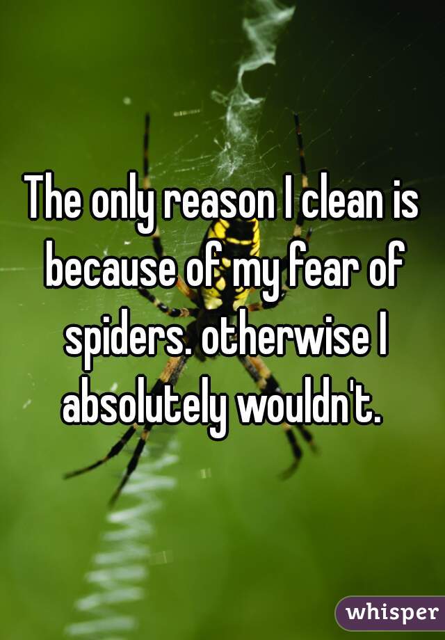 The only reason I clean is because of my fear of spiders. otherwise I absolutely wouldn't. 