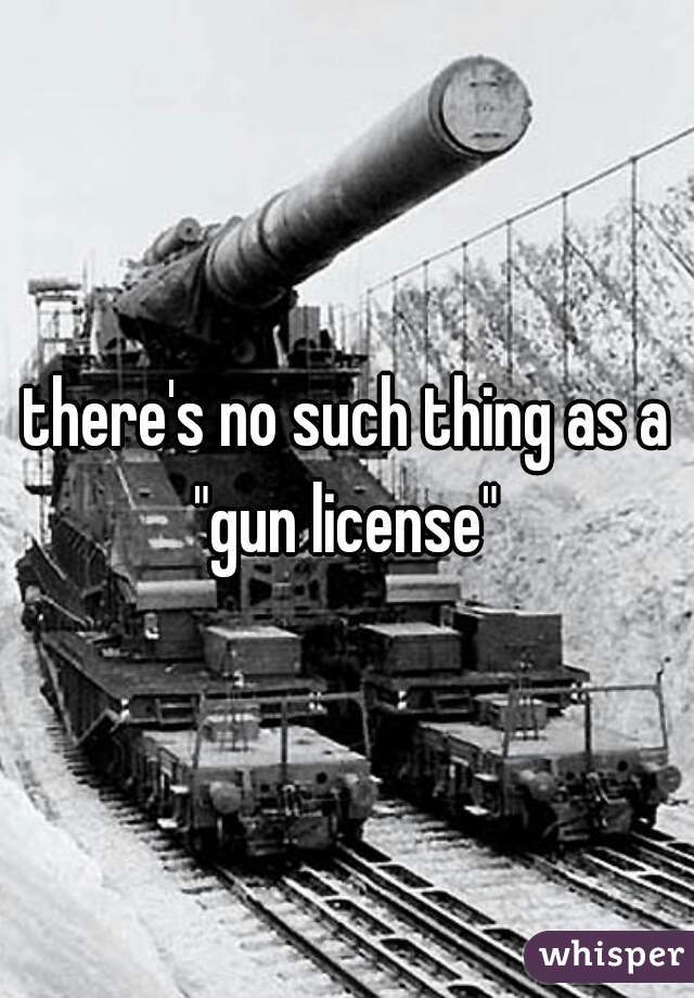 there's no such thing as a "gun license" 