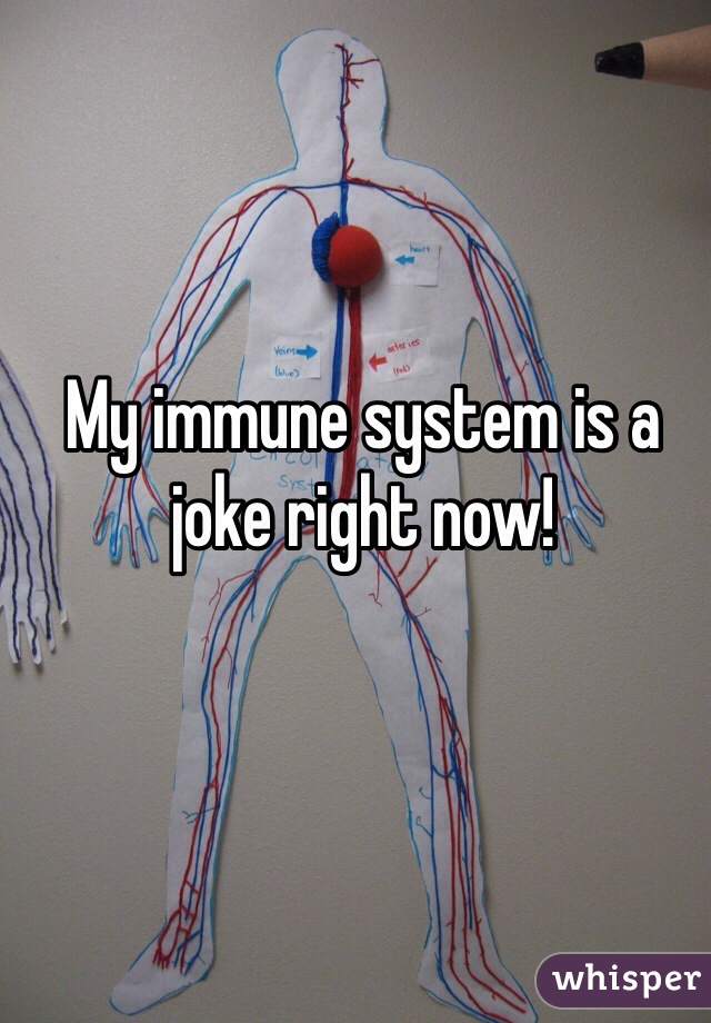 My immune system is a joke right now!